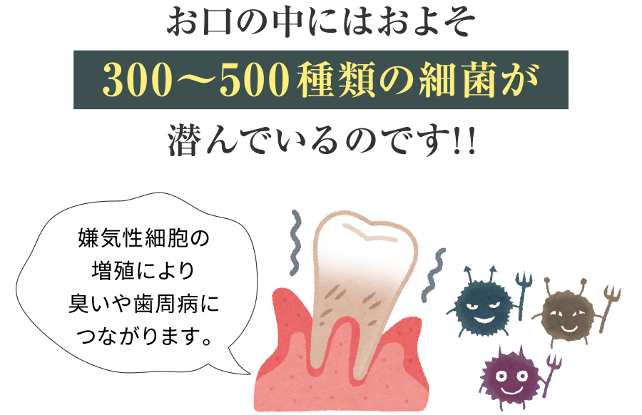 お口の中にはおよそ300〜500種類の細菌が潜んでいるのです！！ 嫌気性細胞の増殖により臭いや歯周病につながります。